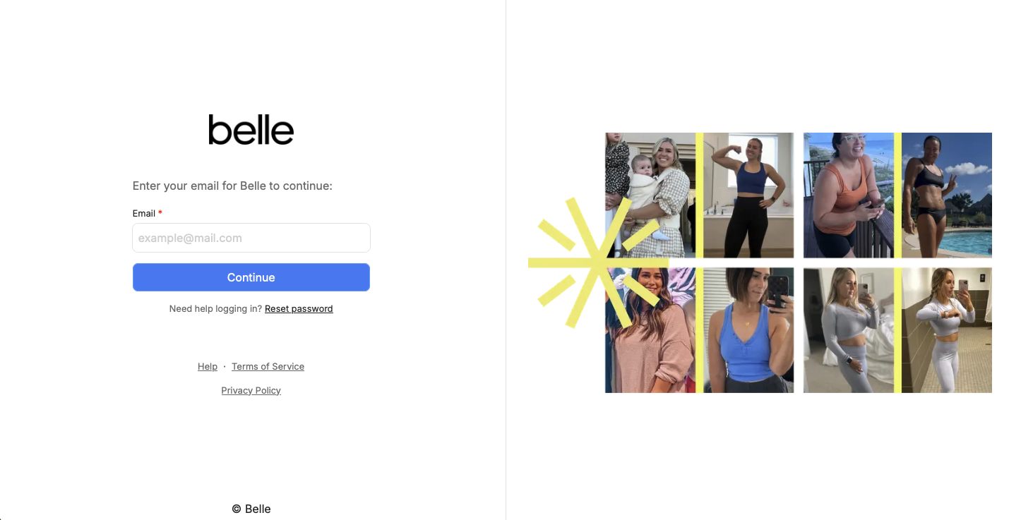 The existing Belle portal login screen